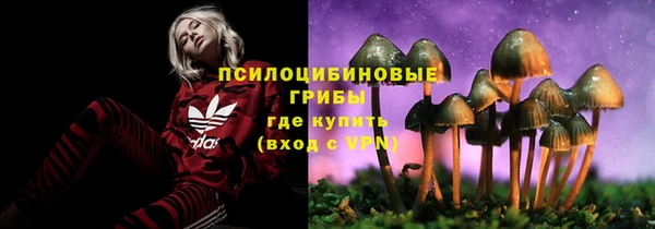 соль ск Нефтегорск