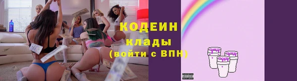 молекула духа Снежногорск