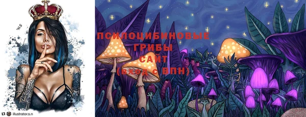 соль ск Нефтегорск