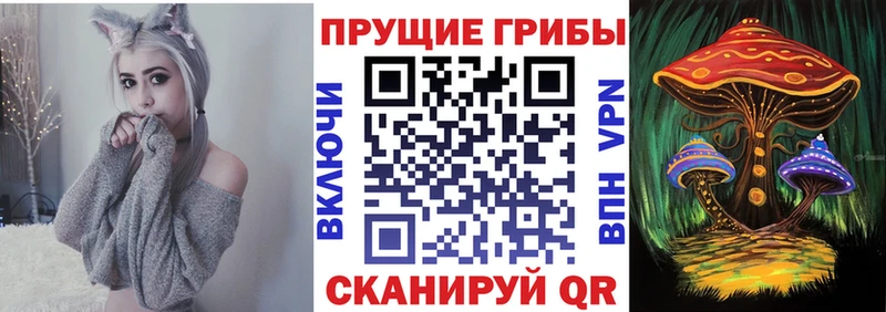 Псилоцибиновые грибы Cubensis  купить  цена  Лосино-Петровский 
