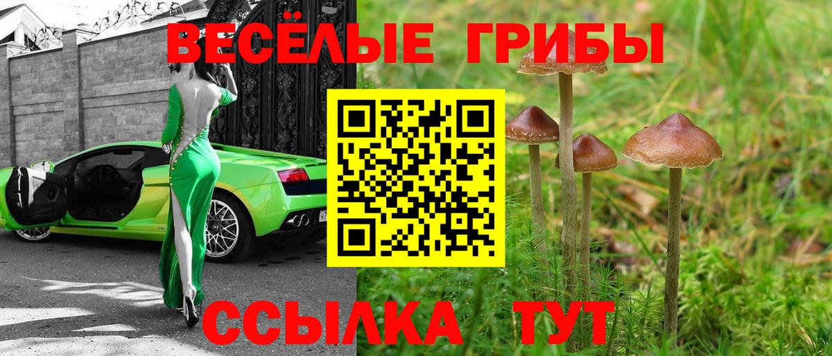 Лосино-Петровский  Псилоцибиновые грибы прущие грибы  Вход с VPN  Галлюциногенные грибы Cubensis 